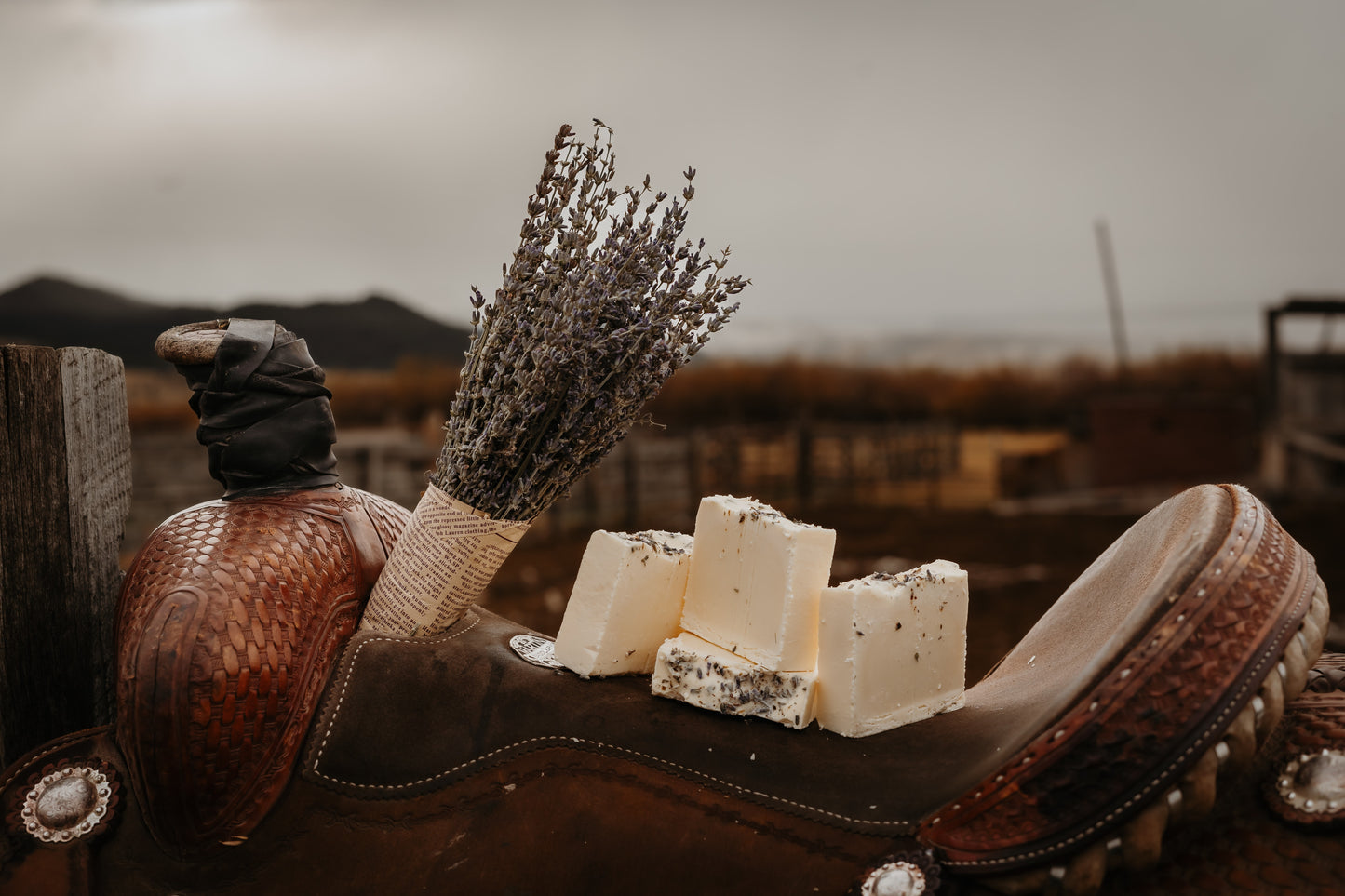 Wild Lavender Tallow Soap