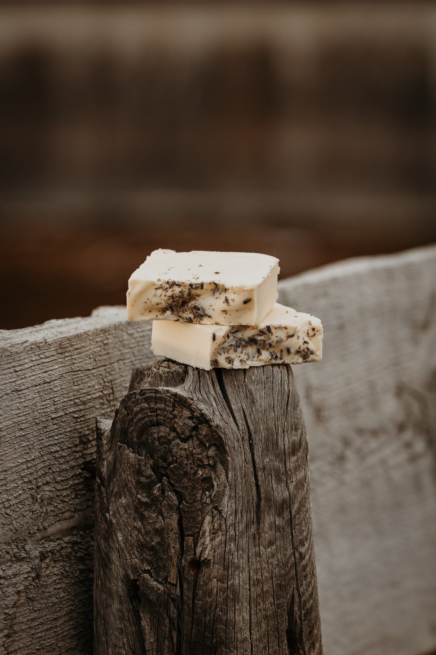 Wild Lavender Tallow Soap
